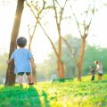 Gemeinsamer Alltag: Aufgabenverteilung und Zusammenarbeit im Familienhaushalt mit Kleinkind