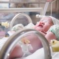 KITA-System in Deutschland: Strukturen, Konzepte und Fördermöglichkeiten